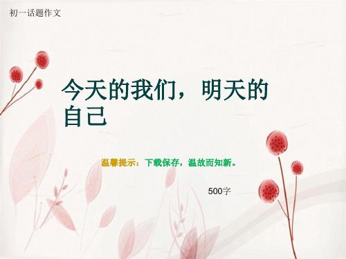 初一话题作文《今天的我们,明天的自己》500字