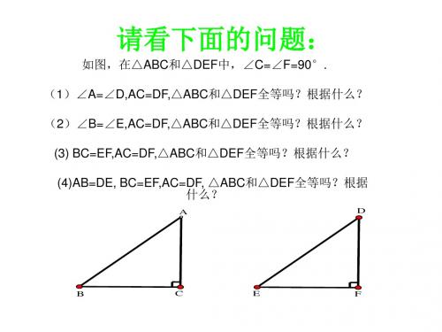 吉林省长春市双阳区八年级数学上册第13章全等三角形直