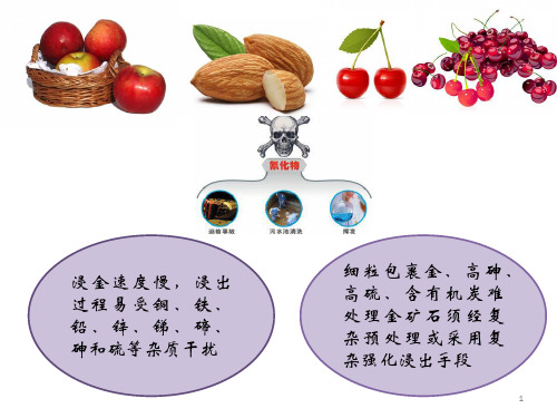 9——非氰化提金