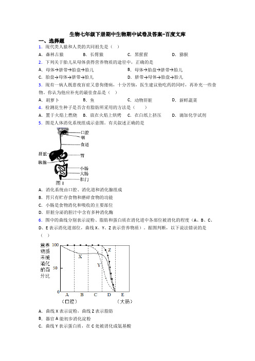 生物七年级下册期中生物期中试卷及答案-百度文库