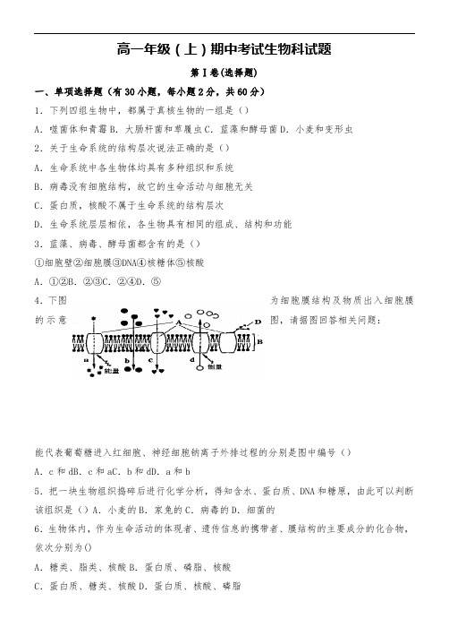 高一年级(上)期中考试生物科试题