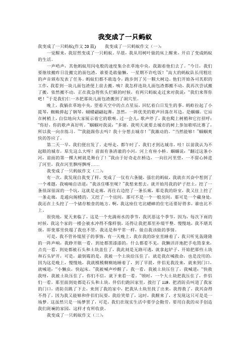 我变成了一只蚂蚁