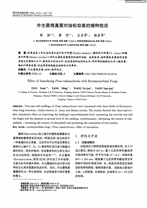 外生菌根真菌对油松幼苗的接种效应