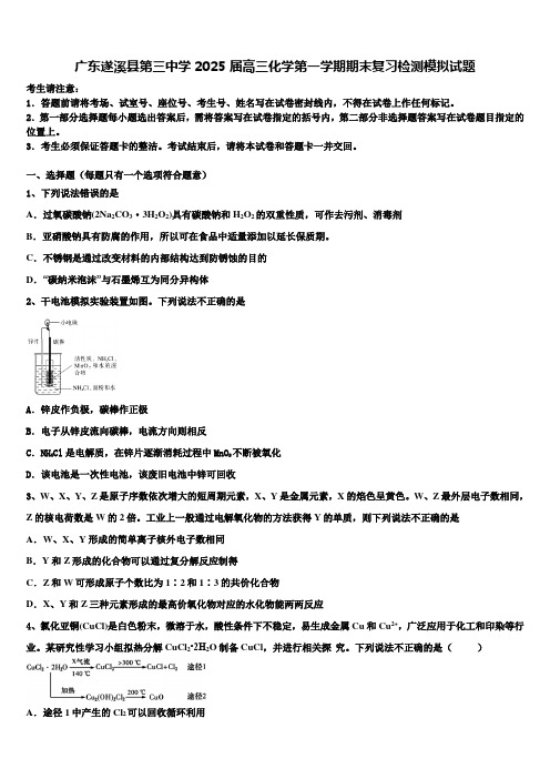 广东遂溪县第三中学2025届高三化学第一学期期末复习检测模拟试题含解析