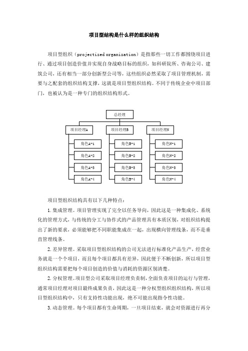 项目型结构是什么样的组织结构(杨少杰)