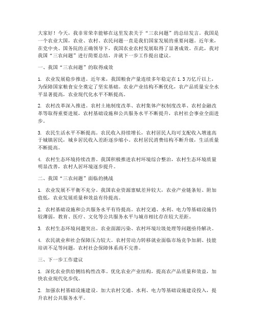 三农问题总结发言稿