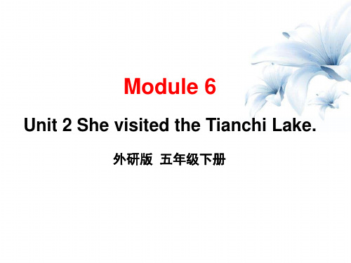 五年级下册英语课件-Module 6 Unit 2 She visited the Tianchi Lake外研版(三起)