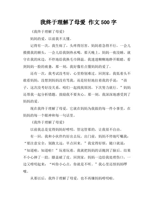 我终于理解了母爱 作文500字