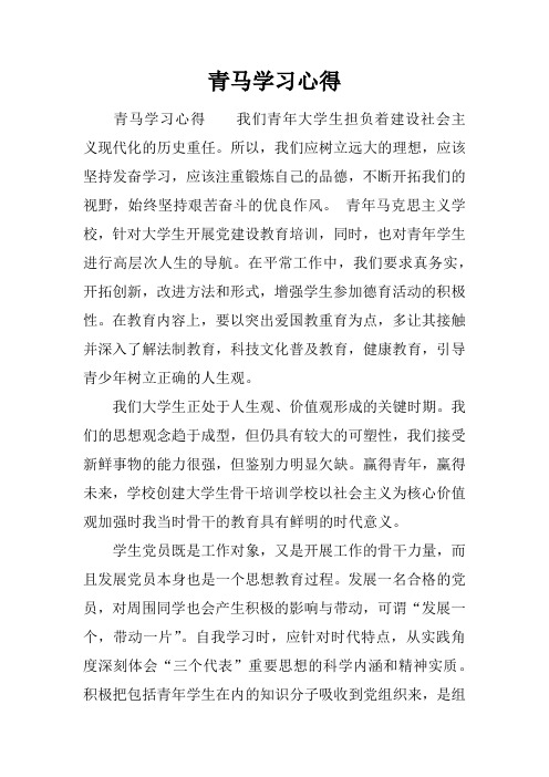 青马学习心得