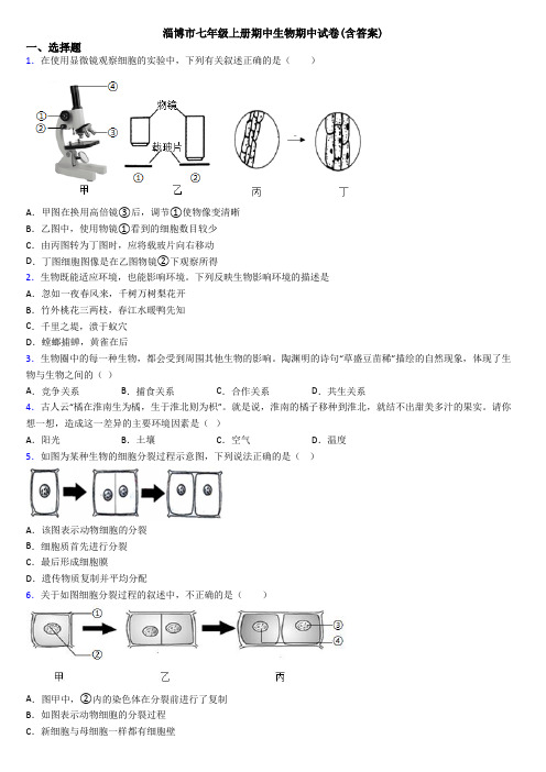 淄博市七年级上册期中生物期中试卷(含答案)