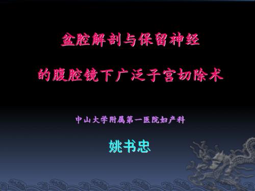 盆腔解剖与保留神经的腹腔镜下广泛子宫切除术-医学精品