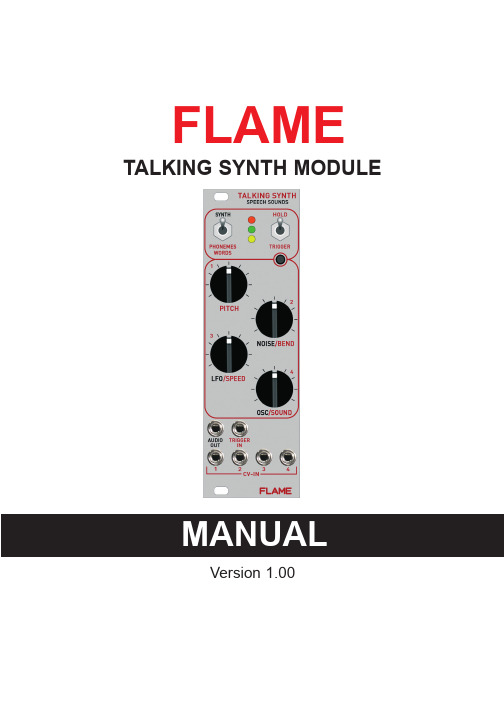 FLAME TALKING SYNTH 说明书