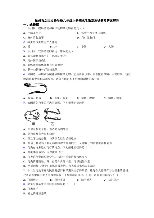 杭州市之江实验学校八年级上册期末生物期末试题及答案解答