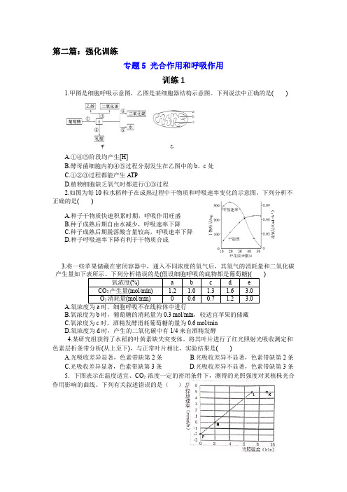 2021年高考生物二轮复习突破——专题5 光合作用与呼吸作用强化训练