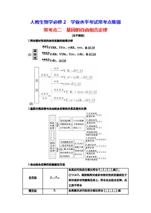 人教生物学必修2学业水平考试常考点集锦：常考点二 基因的自由组合定律