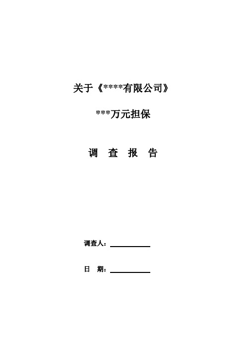 担保调查报告模板