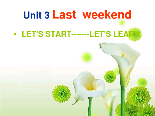 六年级英语下册_uint4_My_holiday_