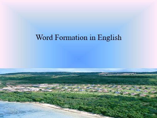 3-2 Word Formation in English 英语语言学ppt