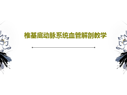 椎基底动脉系统血管解剖教学共23页文档