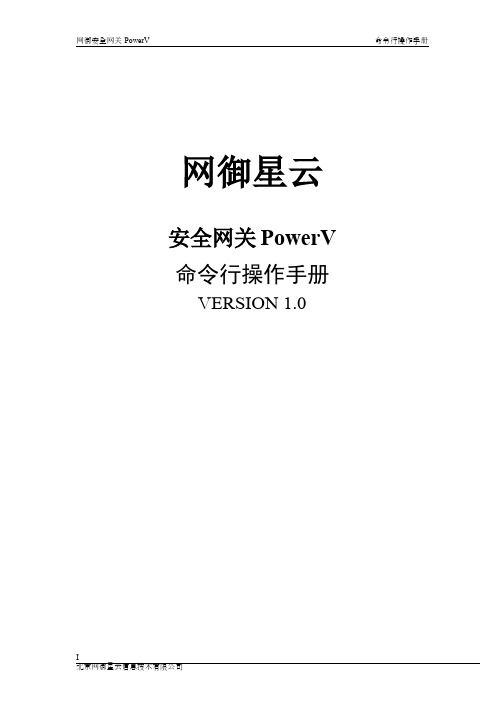 网御星云 安全网关 PowerV 命令行操作手册说明书