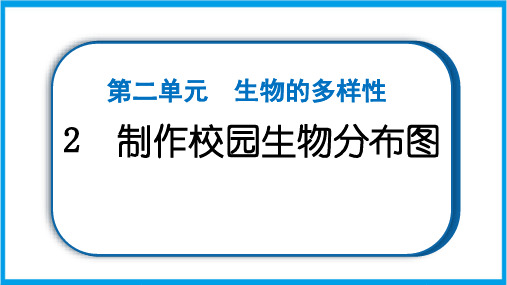 新教科版六年级下册科学 2-2 制作校园生物分布图 重点题型练习课件