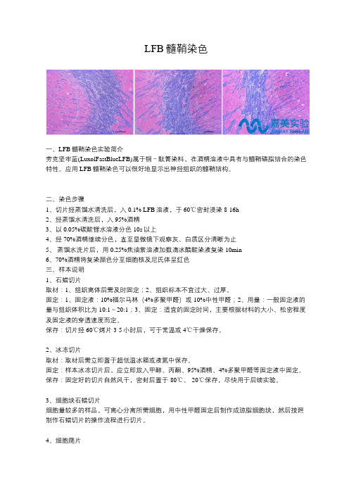 LFB髓鞘染色