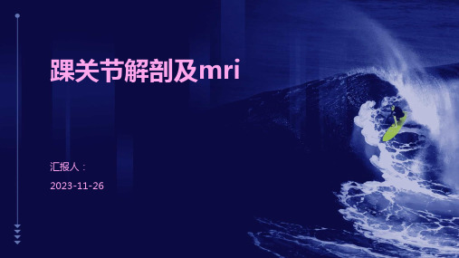 踝关节解剖及mri