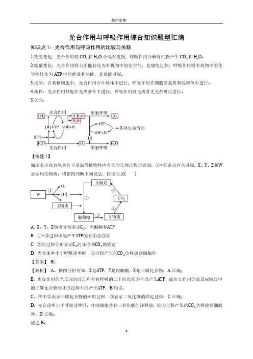 光合作用与呼吸作用综合知识题型汇编