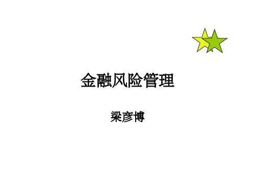 金融风险与金融风险管理概述