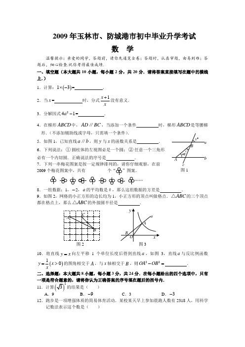 2009年玉林市、防城港市中考数学试题(扫描版)