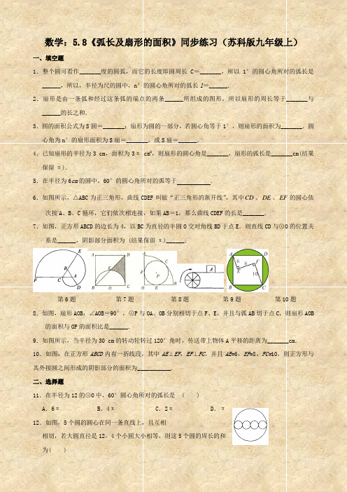 数学：5.8《弧长及扇形的面积》同步练习(苏科版九年级上)