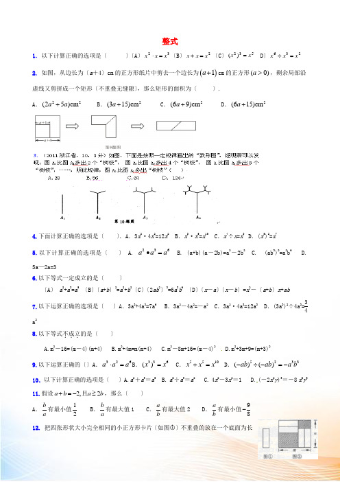 山东省龙口市兰高镇中考数学复习 整式练习 鲁教版五四制