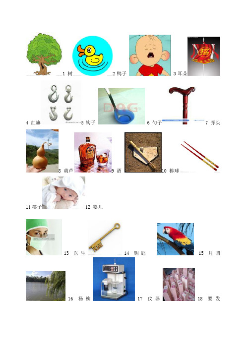 数字密码数字桩_图片