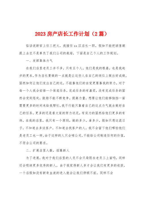 2023年房产店长工作计划(2篇)