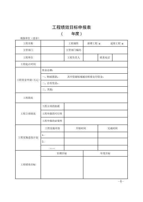 项目绩效目标申报表模板