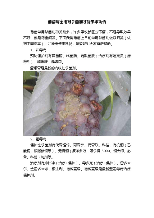 葡萄病害用对杀菌剂才能事半功倍