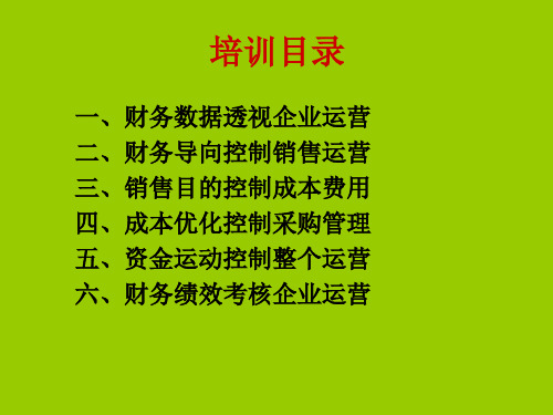 企业运营财务数据化管理(1)