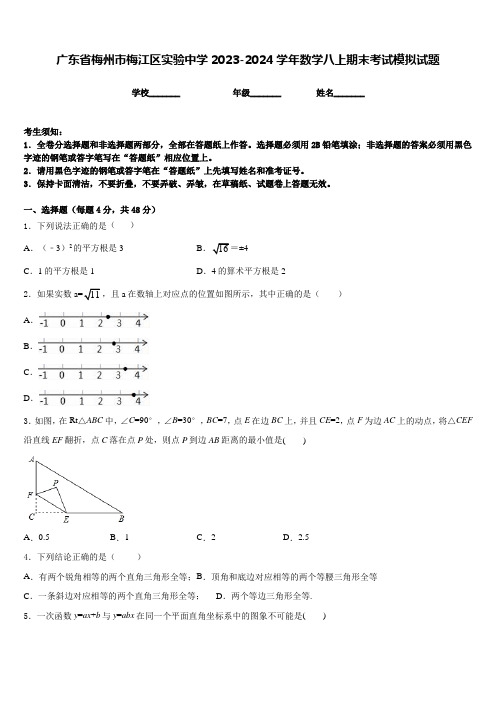 广东省梅州市梅江区实验中学2023-2024学年数学八上期末考试模拟试题含答案