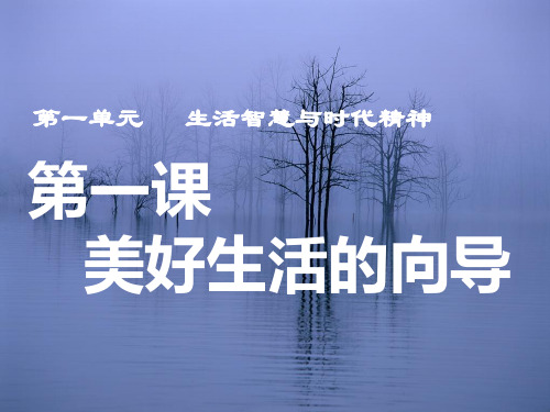 人教版高中政治必修四第一单元第一课第二节关于世界观的学说 课件 (共14张PPT)