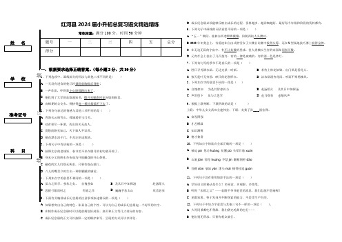 红河县2024届小升初总复习语文精选精练含答案