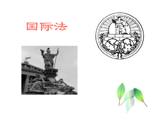 国际法ppt