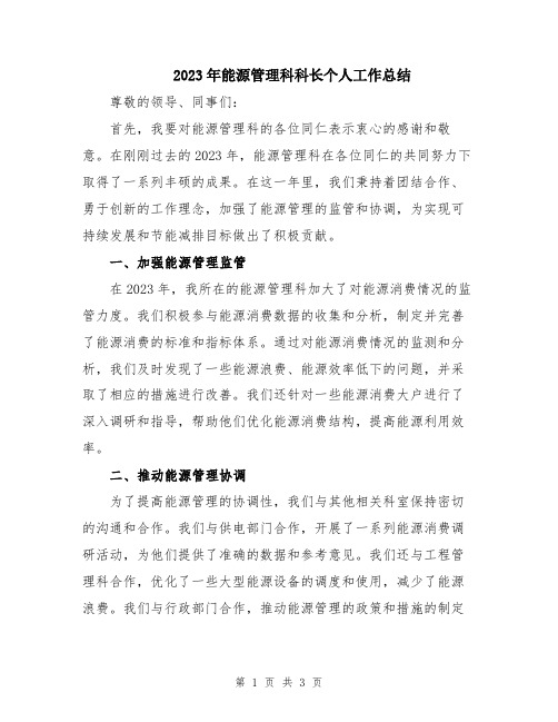 2023年能源管理科科长个人工作总结