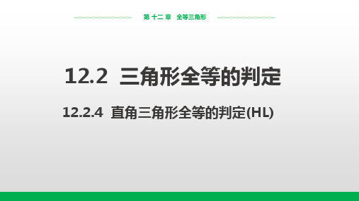 人教版八年级数学上册1.4全等三角形的判定(HL)