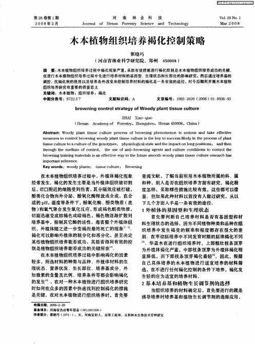 木本植物组织培养褐化控制策略