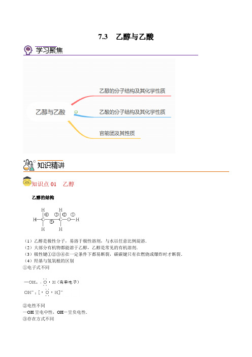 乙醇与乙酸高一化学精品讲义(沪科版2020)(学生版)