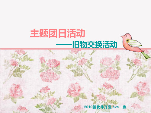 主题团日活动ppt