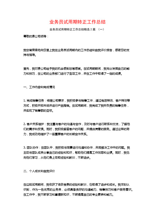 业务员试用期转正工作总结2篇