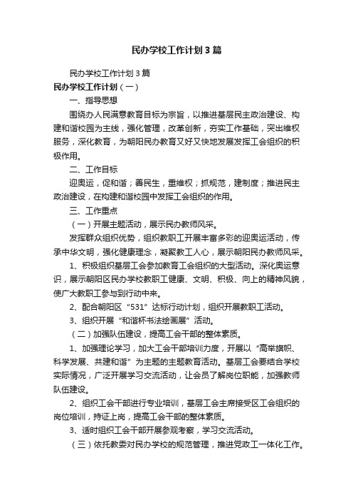 民办学校工作计划3篇