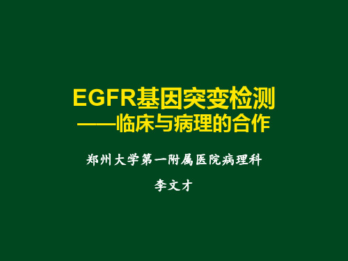 EGFR基因突变检测临床与病理的合作