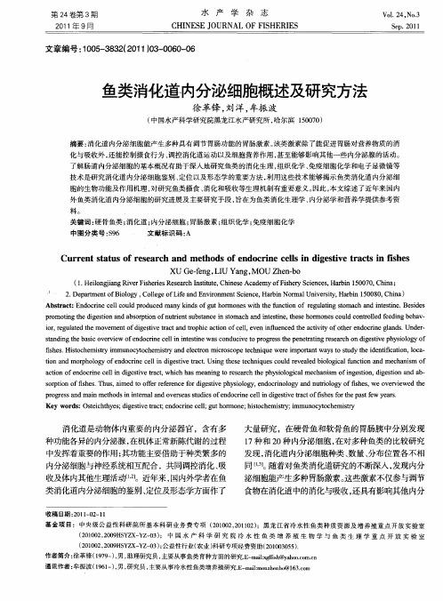 鱼类消化道内分泌细胞概述及研究方法